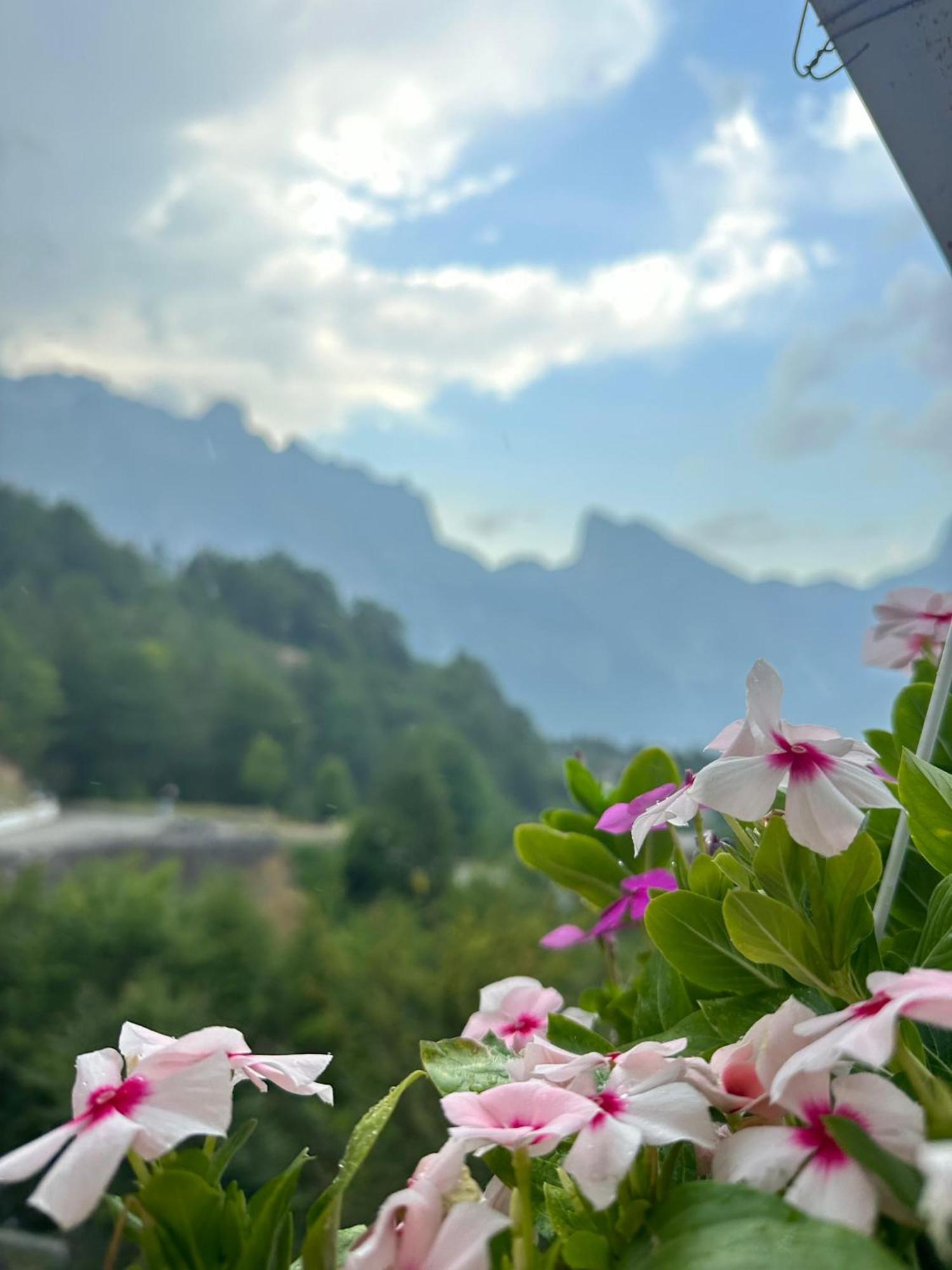 Bed and Breakfast Vellezrit Guri Theth Esterno foto