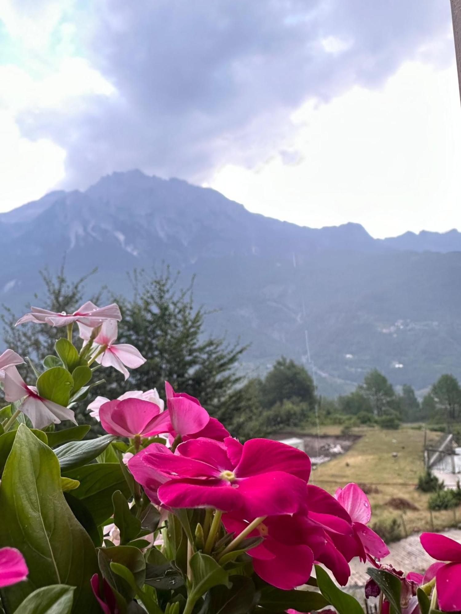 Bed and Breakfast Vellezrit Guri Theth Esterno foto